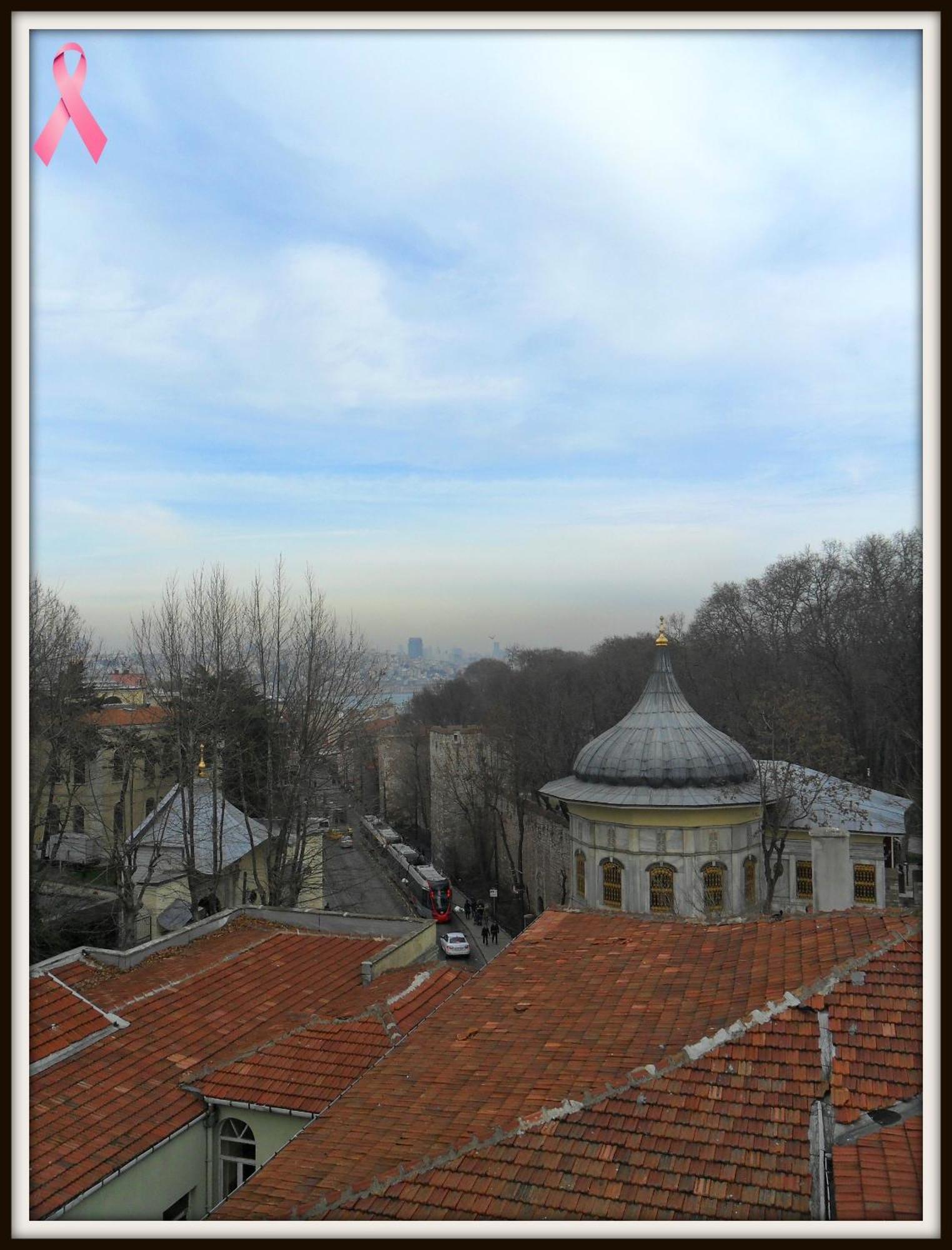 Guest house Le Safran